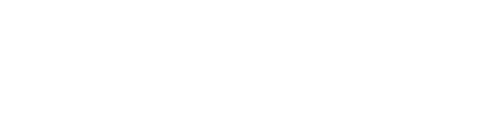 logo-image